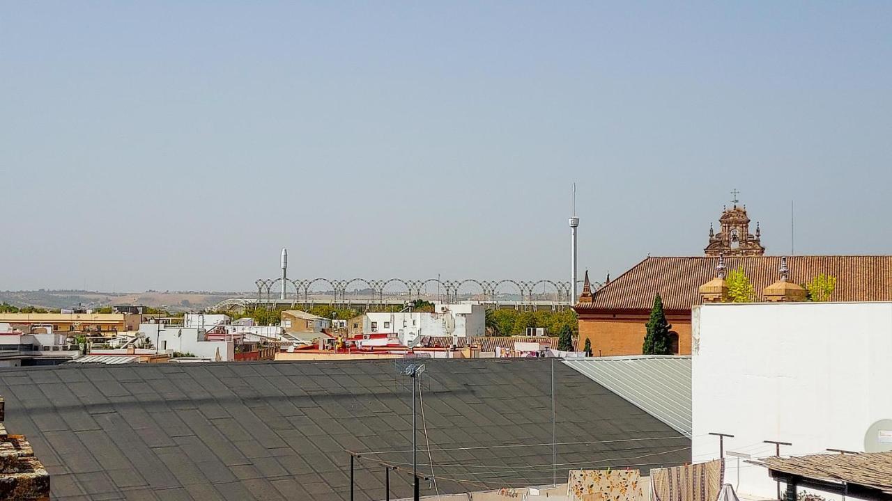 Atico En Calatrava - Vistas Y Gran Terraza Privada Leilighet Sevilla Eksteriør bilde